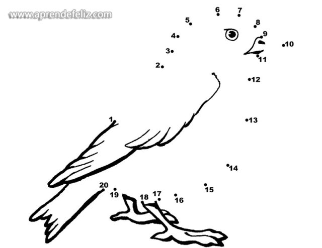 Dibuja pájaros y aves uniendo los puntos numerados