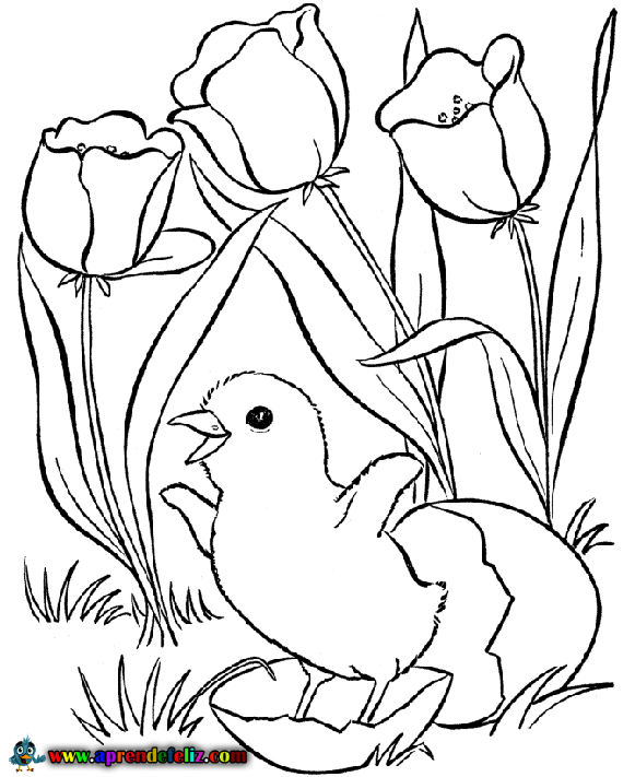 Aprende a colorear con este bonito dibujo de un pollito saliendo del cascarón rodeado de flores en primavera